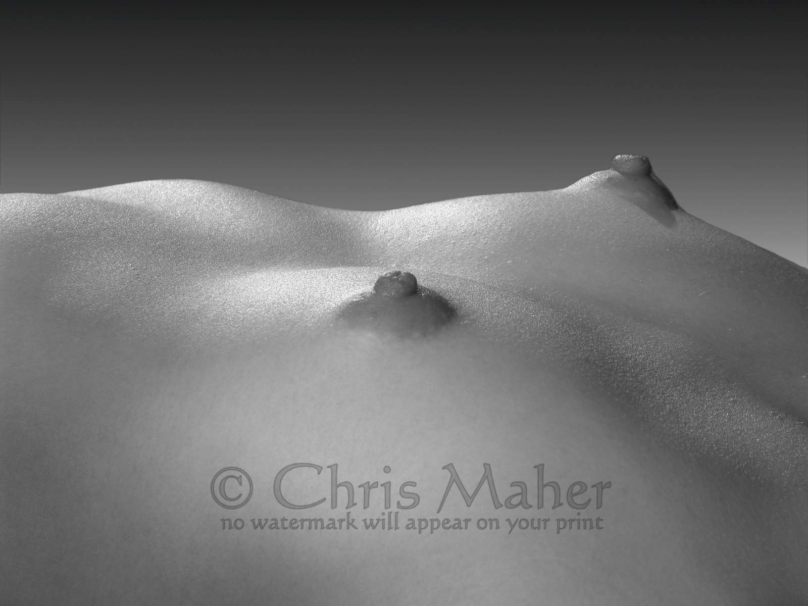 4269 Fine Art Nude Small Breasts Large Nipples by Maher - Afbeelding 1 van 1